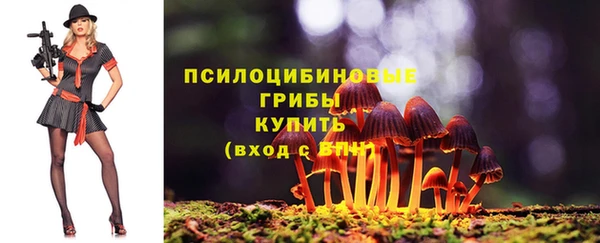 синтетический гашиш Дмитровск