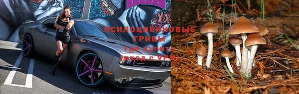 ALPHA-PVP Дмитров