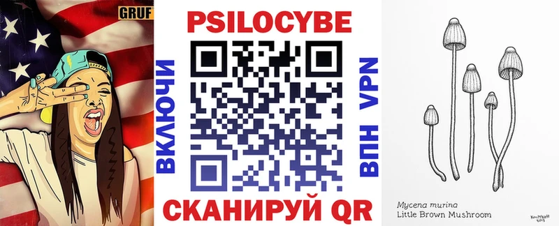 Псилоцибиновые грибы мухоморы  продажа наркотиков  Звенигово 
